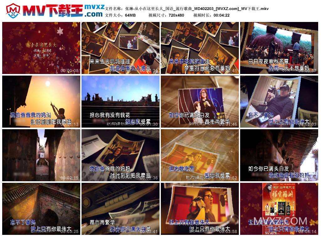 张琳-从小在这里长大_国语_流行歌曲_MD402203